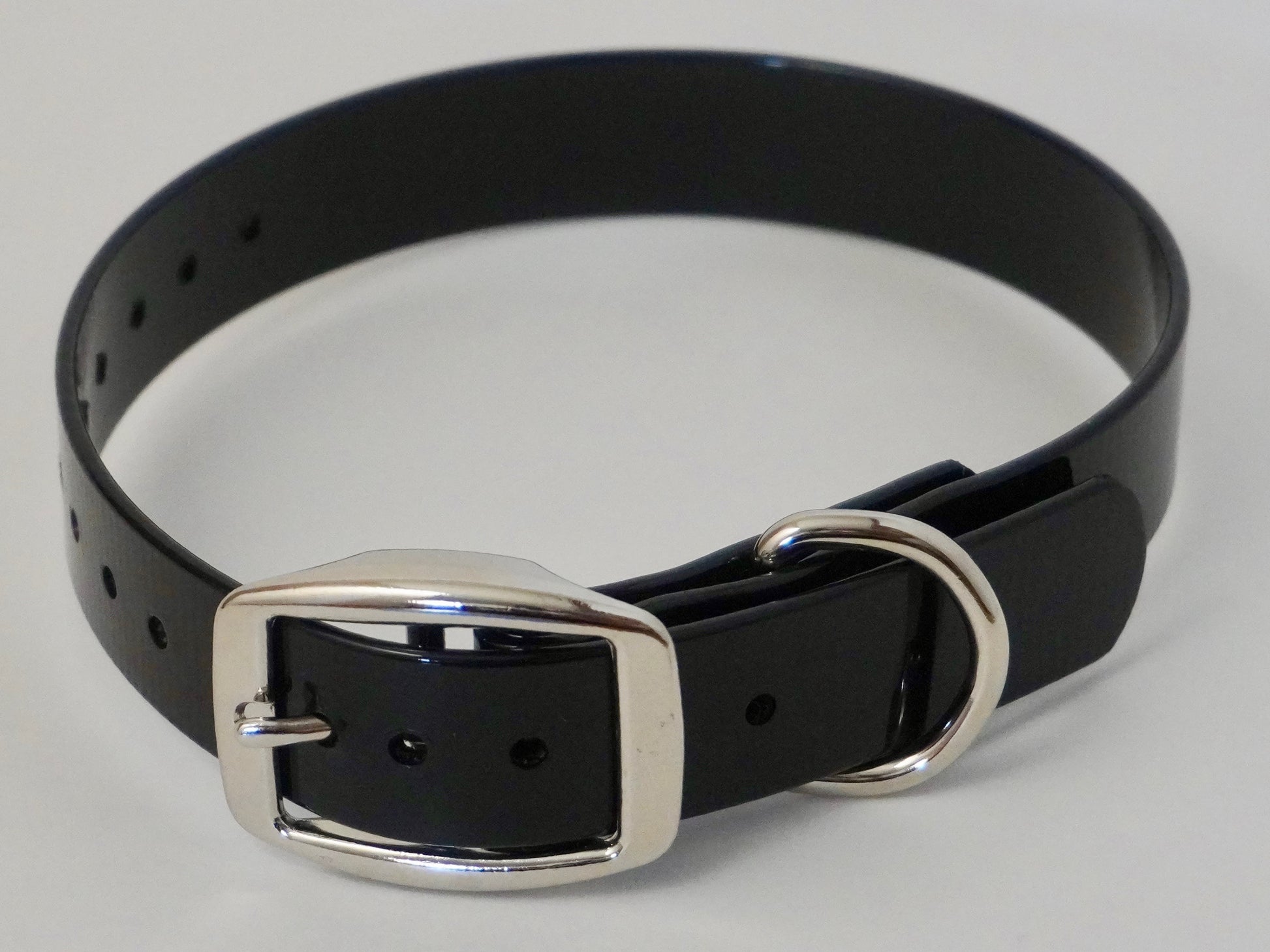 1” D Ring Hunting Dog Collar with Free Brass Nameplate Black