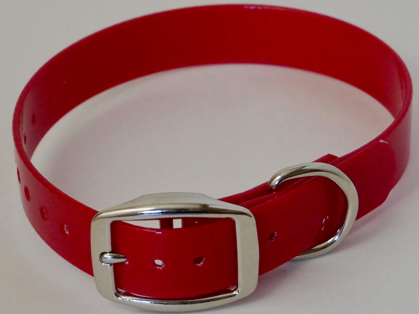 1” D Ring Hunting Dog Collar with Free Brass Nameplate Red