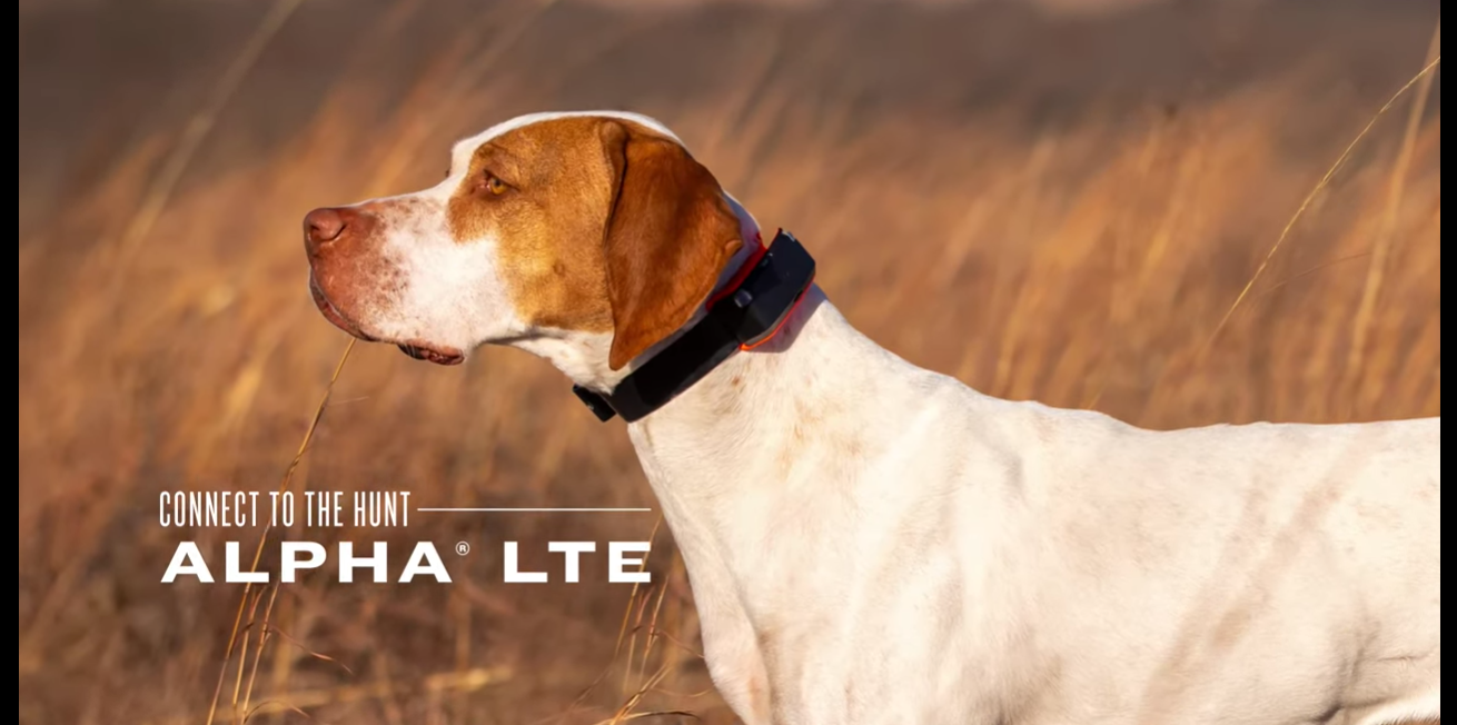 Garmin Alpha LTE Dog Tracking Collar